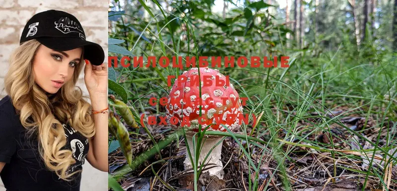 ОМГ ОМГ вход  Касли  Галлюциногенные грибы Magic Shrooms  где можно купить наркотик 